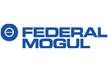 FEDERAL MOGUL